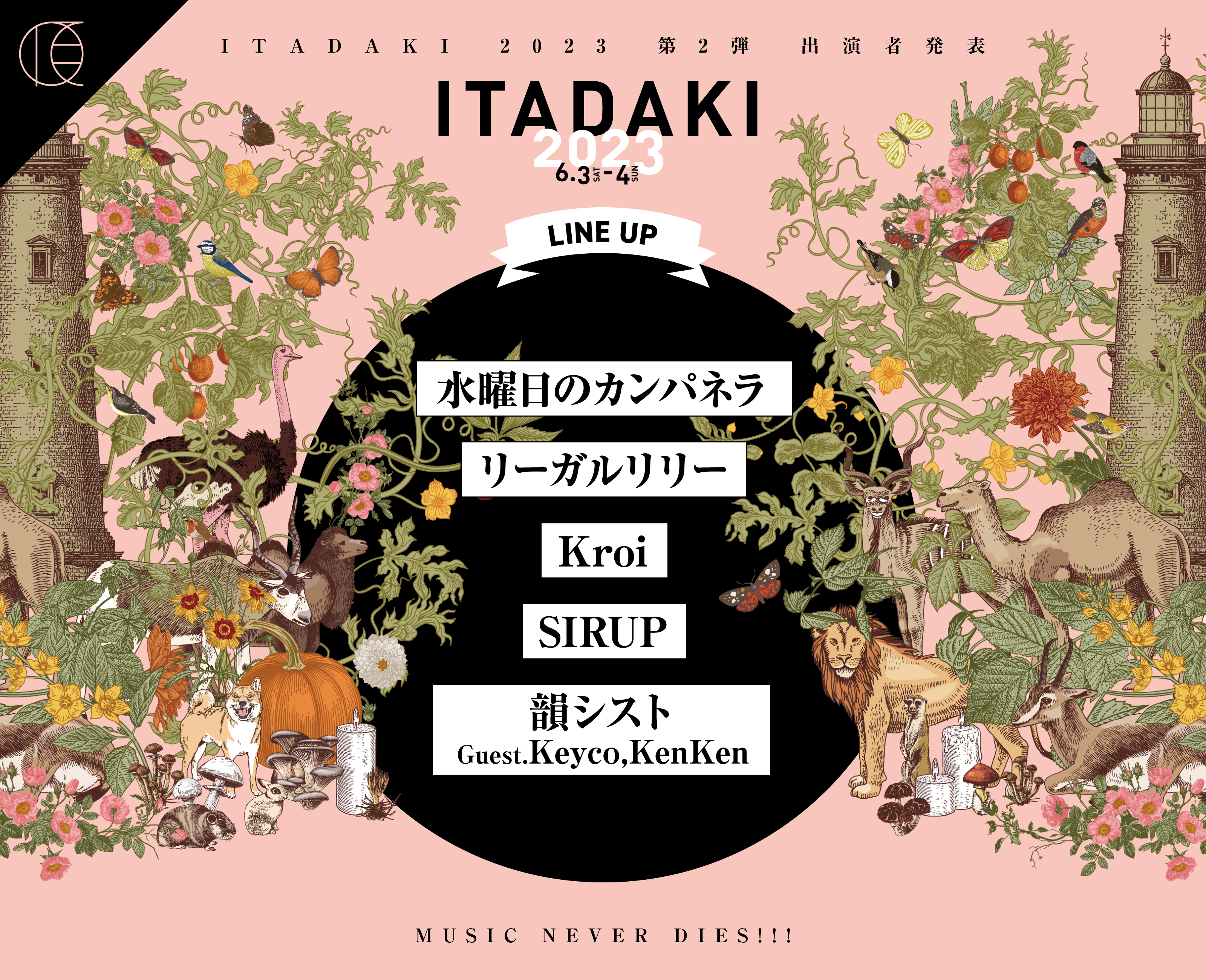 頂 -ITADAKI- 2023 出演決定！ - SIRUP Official Site